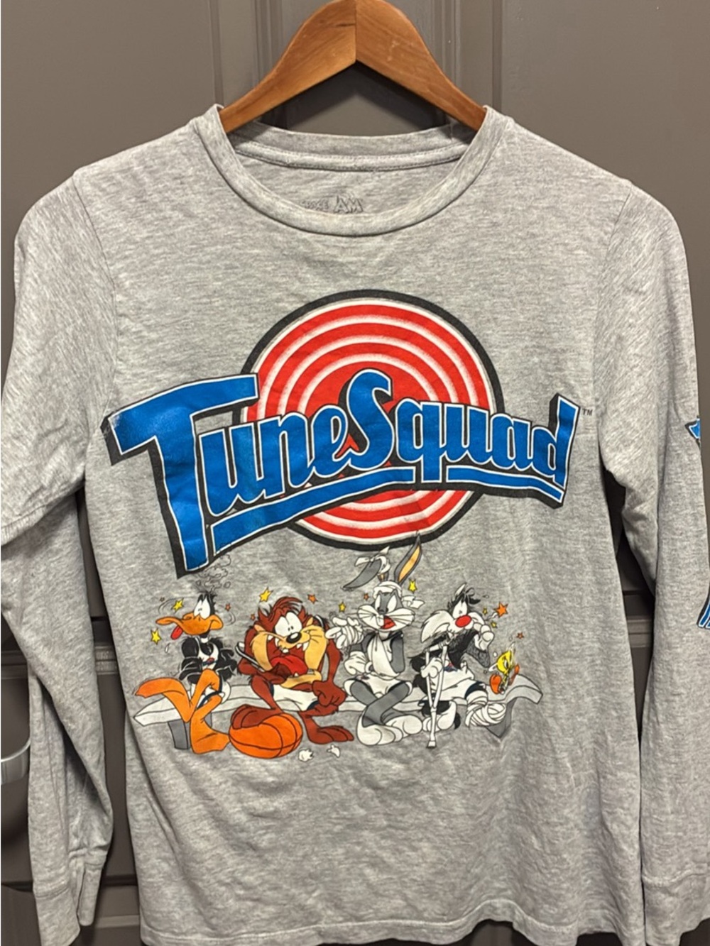 Tune Squad Gray Long-Sleeve Graphic Tee